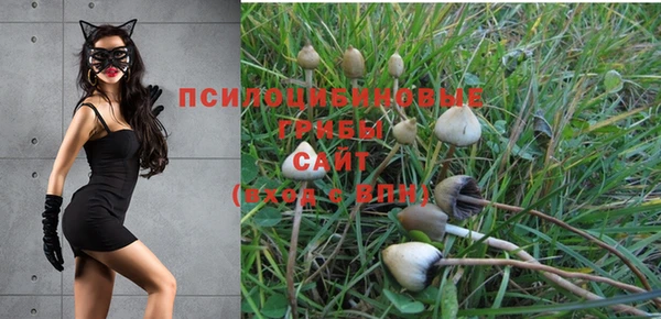 соль ск Волоколамск