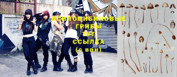 соль ск Волоколамск